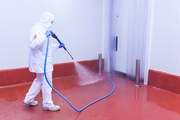 Best Driveway Pressure Washing  in Kent Estates, IA